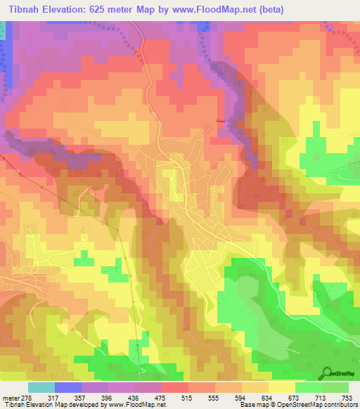 Tibnah,Jordan Elevation Map