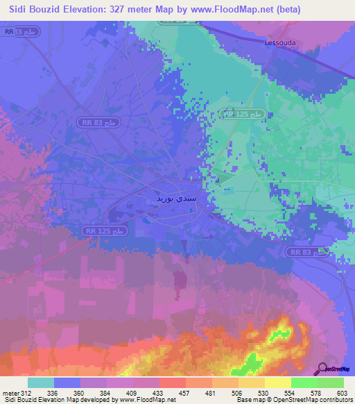 Sidi Bouzid,Tunisia Elevation Map