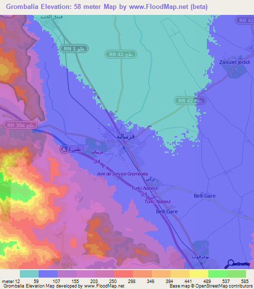 Grombalia,Tunisia Elevation Map