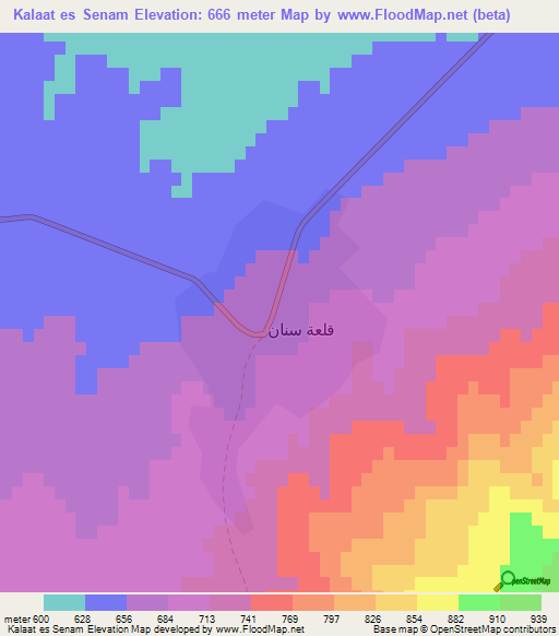 Kalaat es Senam,Tunisia Elevation Map