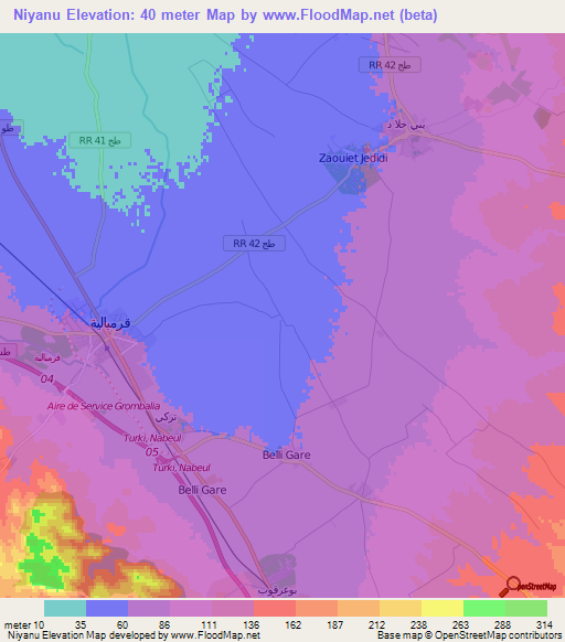 Niyanu,Tunisia Elevation Map