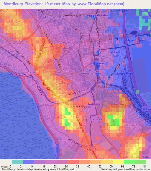 Montfleury,Tunisia Elevation Map