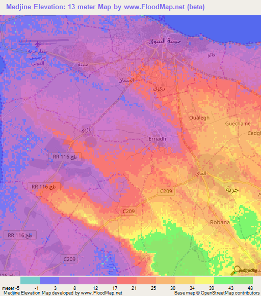 Medjine,Tunisia Elevation Map