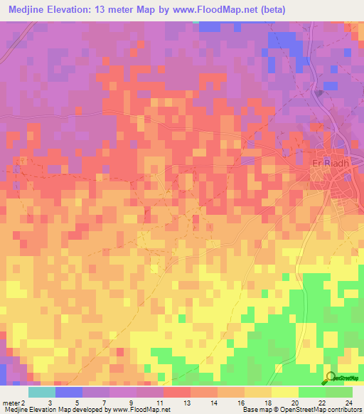 Medjine,Tunisia Elevation Map