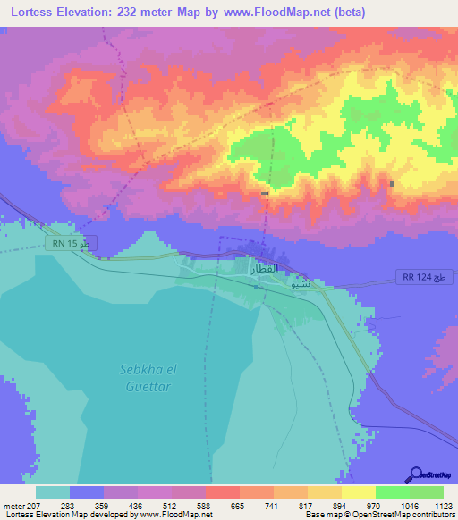 Lortess,Tunisia Elevation Map