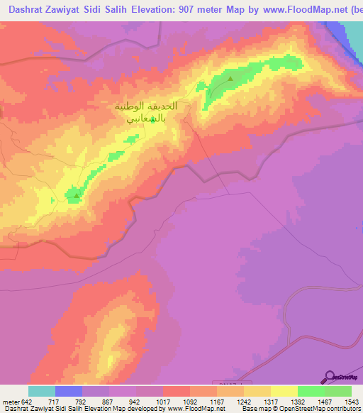 Dashrat Zawiyat Sidi Salih,Tunisia Elevation Map