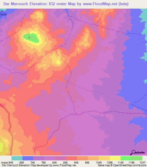 Dar Marrouch,Tunisia Elevation Map