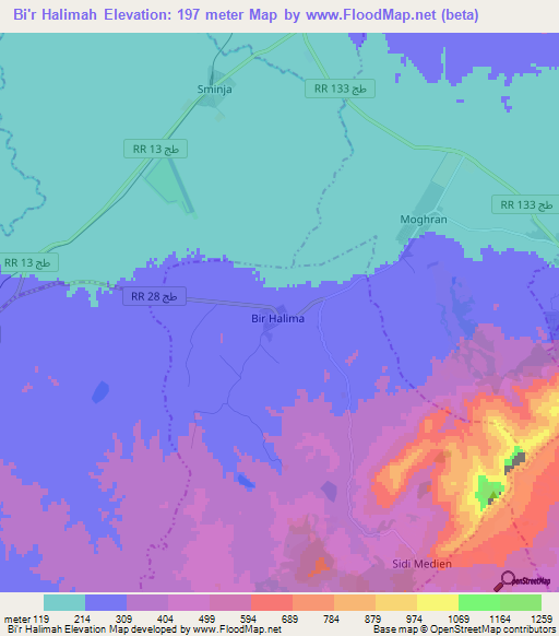 Bi'r Halimah,Tunisia Elevation Map