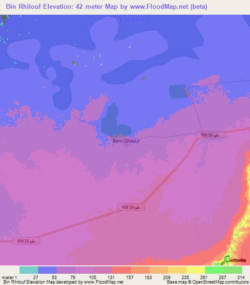 Bin Rhilouf,Tunisia Elevation Map
