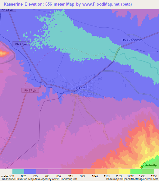 Kasserine,Tunisia Elevation Map