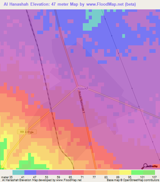 Al Hanashah,Tunisia Elevation Map