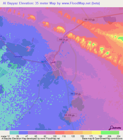 Al Bayyaz,Tunisia Elevation Map