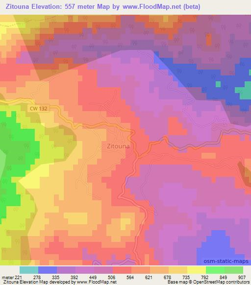 Zitouna,Algeria Elevation Map