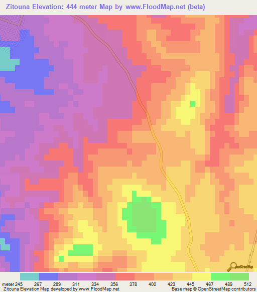 Zitouna,Algeria Elevation Map
