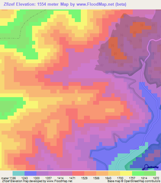 Zfizef,Algeria Elevation Map
