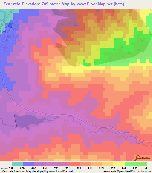 Zennzela,Algeria Elevation Map