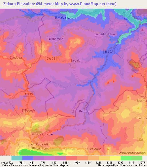 Zekora,Algeria Elevation Map