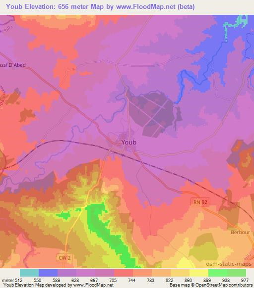 Youb,Algeria Elevation Map