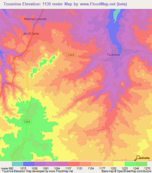 Tousnina,Algeria Elevation Map
