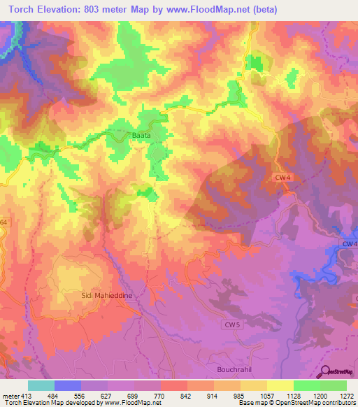 Torch,Algeria Elevation Map