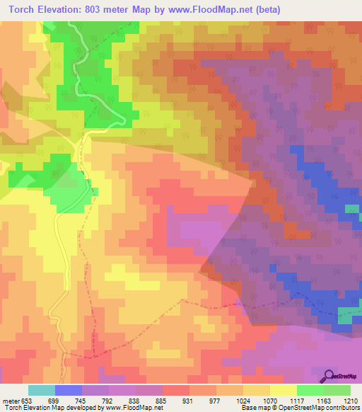 Torch,Algeria Elevation Map