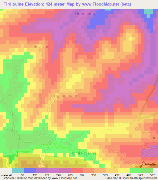 Tirdiouine,Algeria Elevation Map