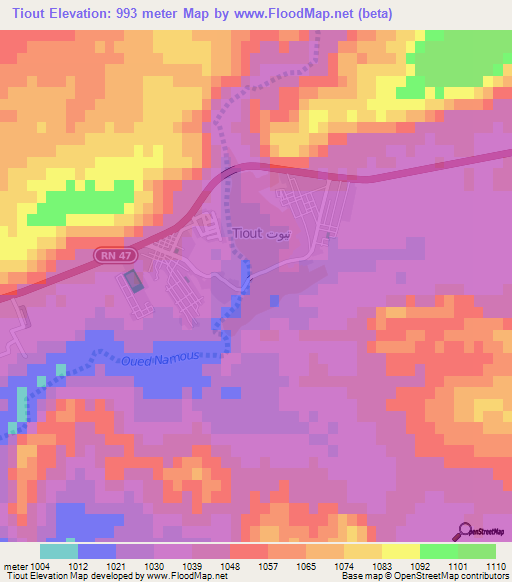 Tiout,Algeria Elevation Map