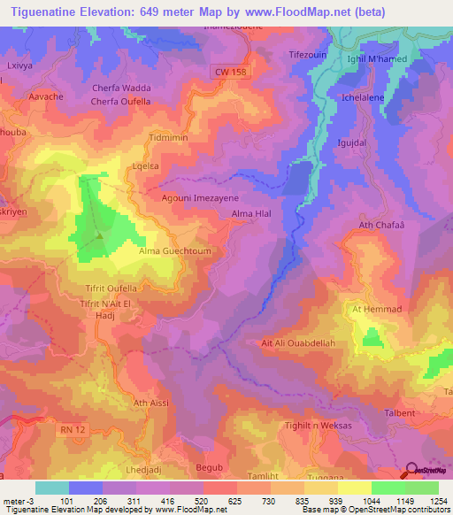 Tiguenatine,Algeria Elevation Map