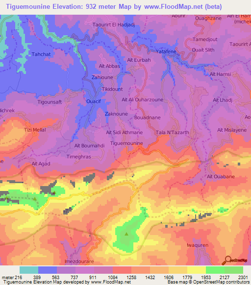 Tiguemounine,Algeria Elevation Map