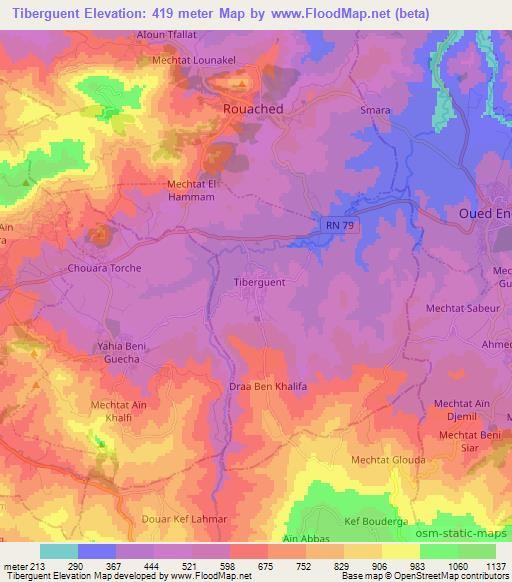 Tiberguent,Algeria Elevation Map