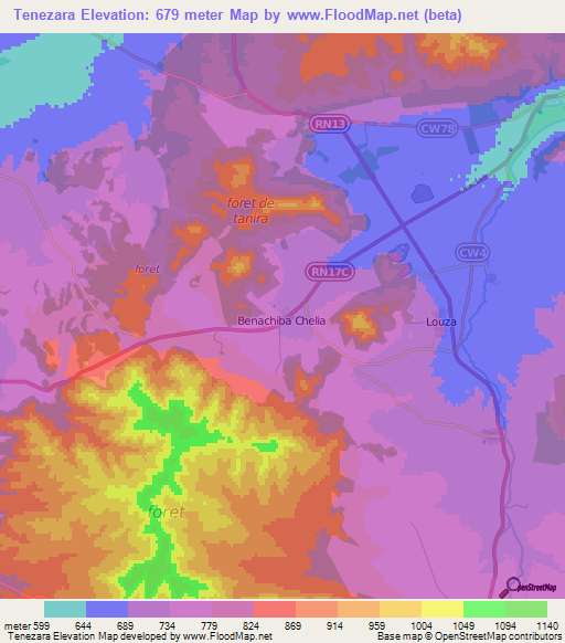 Tenezara,Algeria Elevation Map