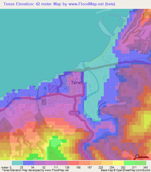 Tenes,Algeria Elevation Map