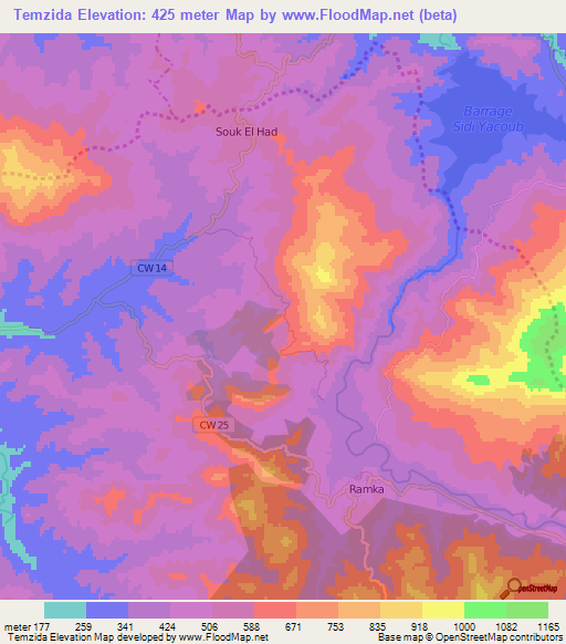 Temzida,Algeria Elevation Map