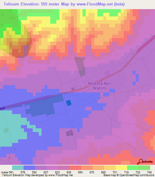 Telioum,Algeria Elevation Map
