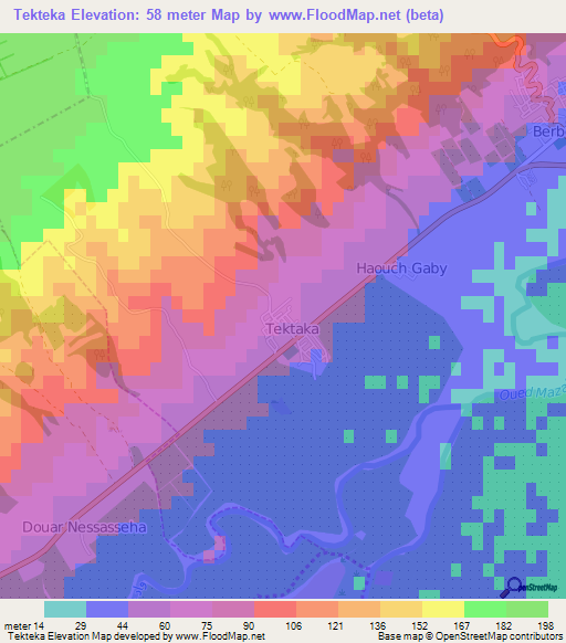 Tekteka,Algeria Elevation Map