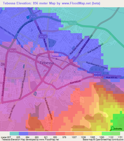 Tebessa,Algeria Elevation Map