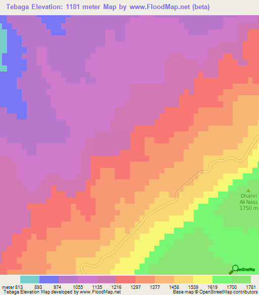 Tebaga,Algeria Elevation Map