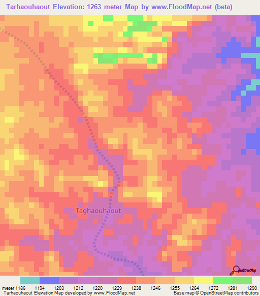 Tarhaouhaout,Algeria Elevation Map
