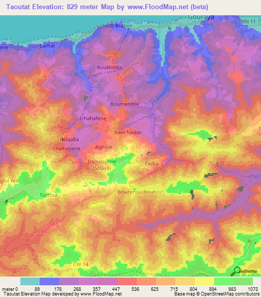 Taoutat,Algeria Elevation Map