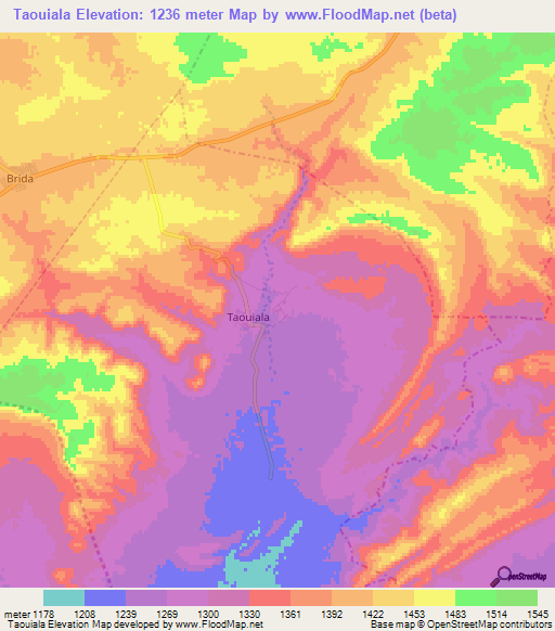 Taouiala,Algeria Elevation Map