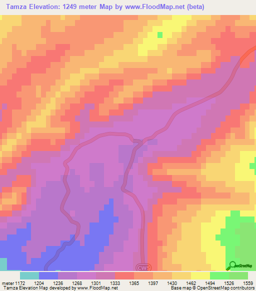 Tamza,Algeria Elevation Map