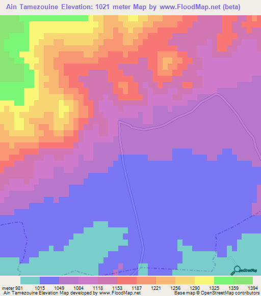 Ain Tamezouine,Algeria Elevation Map