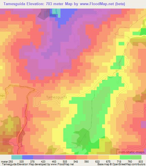 Tamesguida,Algeria Elevation Map