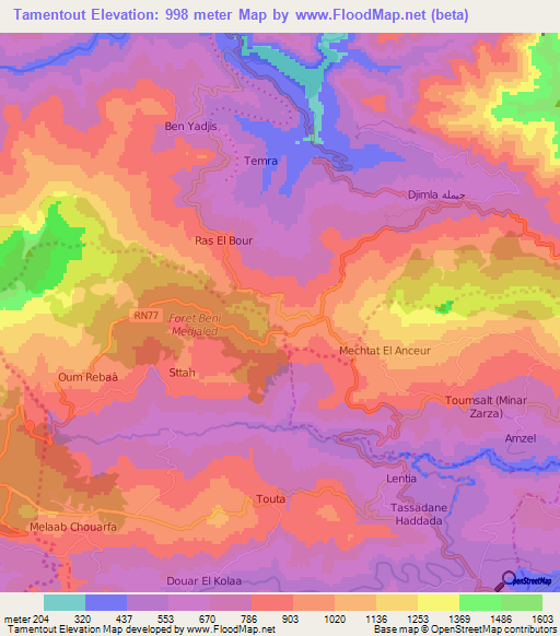 Tamentout,Algeria Elevation Map