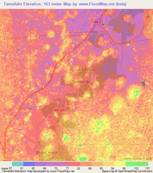 Tamellaht,Algeria Elevation Map