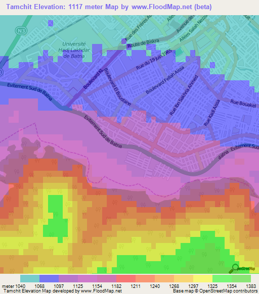 Tamchit,Algeria Elevation Map