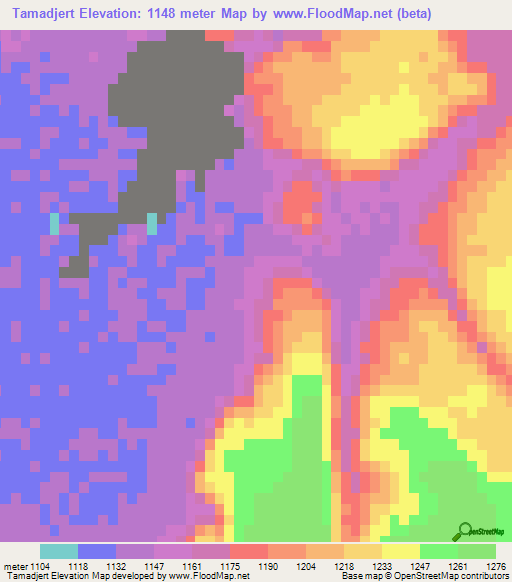 Tamadjert,Algeria Elevation Map