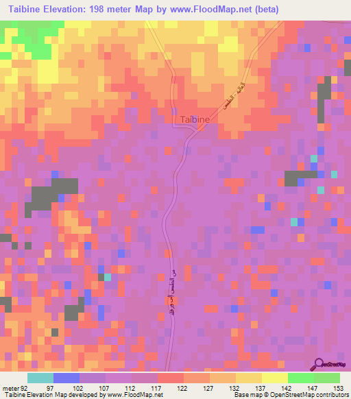 Taibine,Algeria Elevation Map