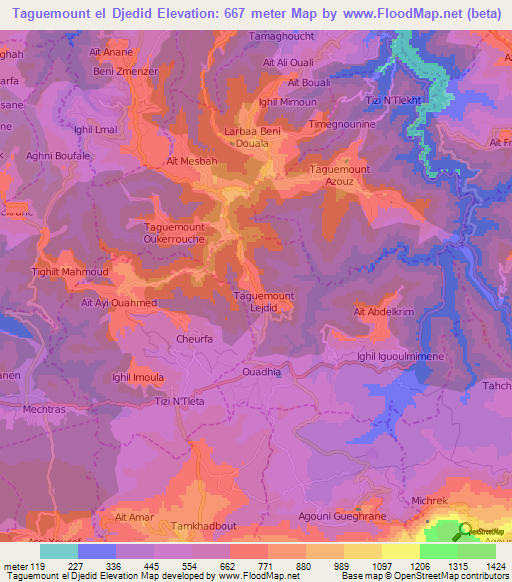 Taguemount el Djedid,Algeria Elevation Map