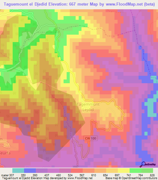 Taguemount el Djedid,Algeria Elevation Map